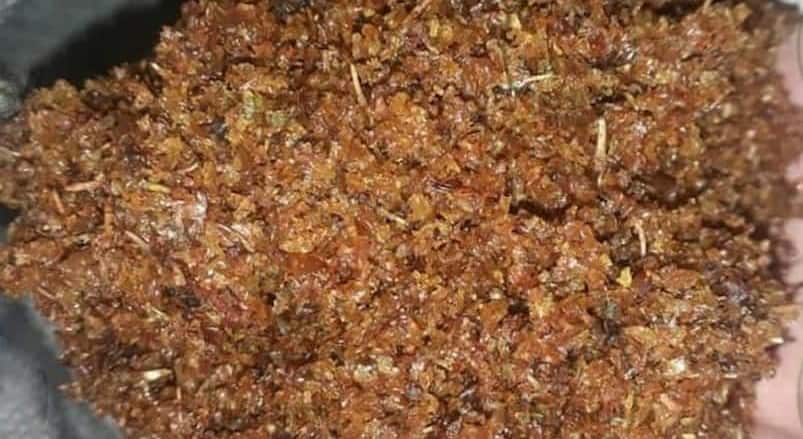 16739463371156-Copy (1)