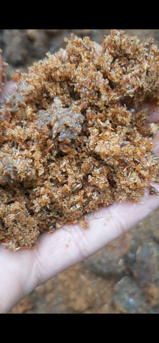 web-1713770274431-95852444-aAkZltvUA3IpNtIP8KAzBt5HLuHaX3VBepRKEN2f