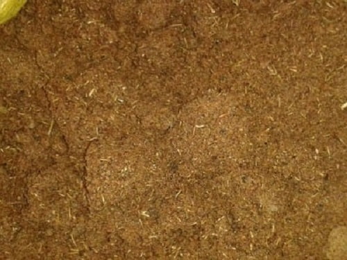 لرذلذدادت-1 (1)